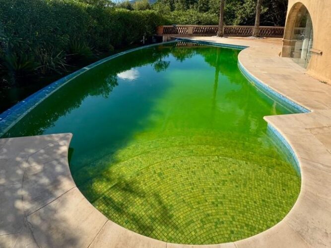 Green swimming pool with heavy algae growth before professional pool recovery service in Melbourne