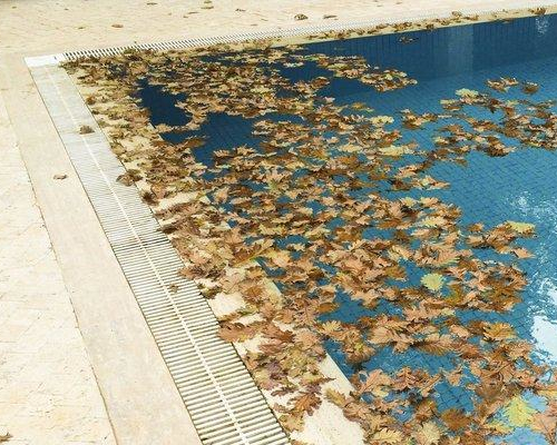 Swimming pool with leaves and debris requiring pool cleaning in Keilor