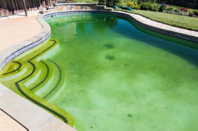 Green and cloudy pool water caused by low chlorine levels