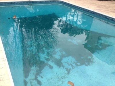 Residential swimming pool with cloudy water, leaves and debris showing signs that professional pool maintenance is needed