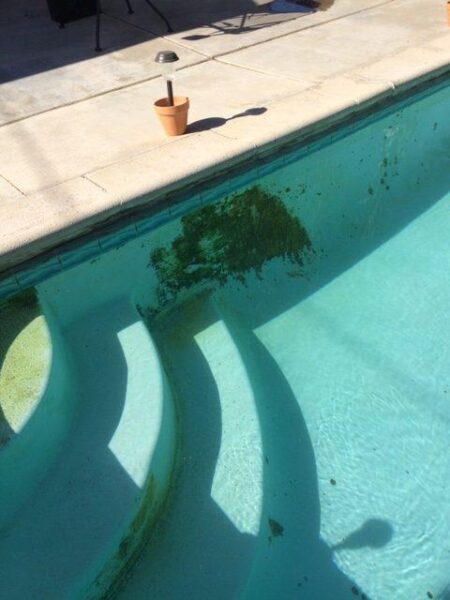 Swimming pool with green algae growth caused by unbalanced water chemistry and low chlorine levels before professional pool recovery