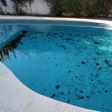 Swimming pool with leaves and debris showing signs that professional pool cleaning is needed in Burnside Heights.