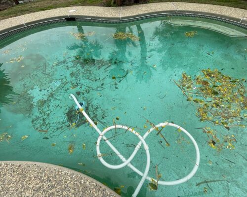 Swimming pool with leaves and debris showing signs that professional pool cleaning is needed in Taylors Lakes.