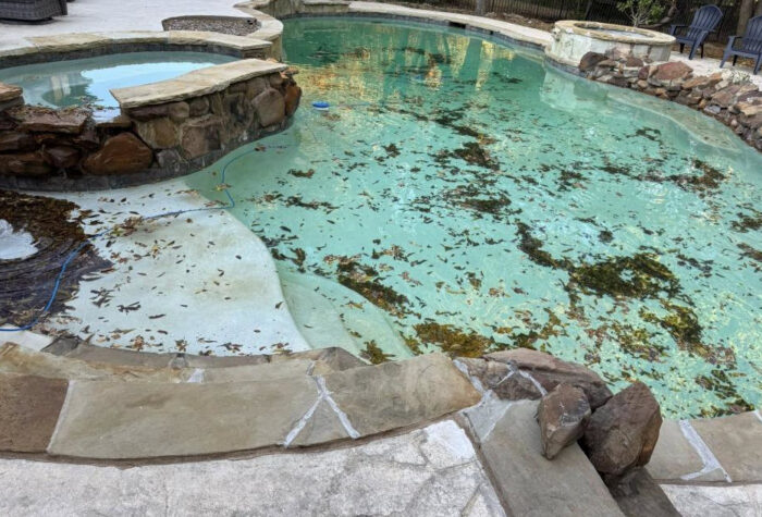 Residential pool with leaves and debris requiring professional cleaning in Hillside